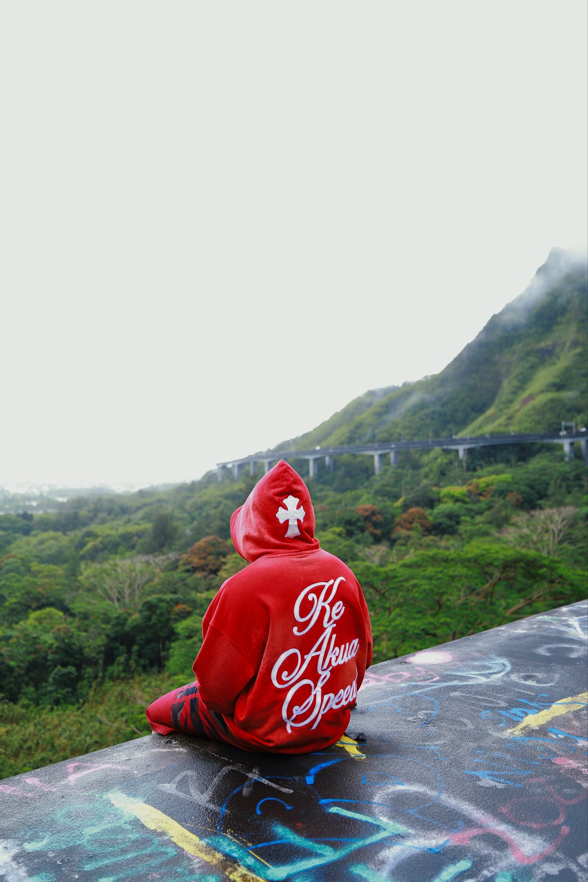 Acid Red Jesus Hoodie