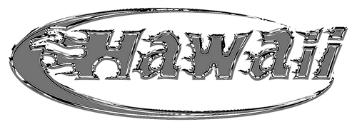 Hawaii Dept Streetwear